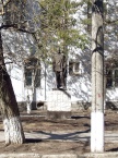  Скульптура Горького у школы №11